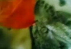 Eveline सेक्सी बीएफ अंग्रेजी मूवी Dellai – Eveline Dellai-गुदा खुशी FullHD 1080p